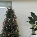 우리가족 토요테라피 1 | [출강 후기] 부모·자녀 정서 소통 아로마테라피 프로그램 ‘향기레시피’(10~11월)