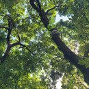 초장동-1 이미지