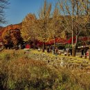 배론성지 이미지