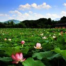 필봉산길 이미지