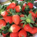 대절농장 이미지