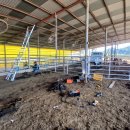 백아한우 이미지