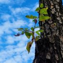 행안농장 이미지