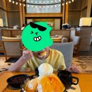 망고카서비스 | 신라 모노그램 다낭 룸서비스, 풀바, 망고빙수 후기