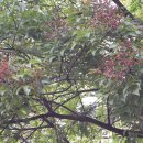 좌4동-11 이미지