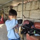 호저낚시터 이미지