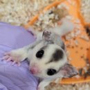 와우펫앤쥬(기장점) 이미지