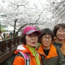 로망스 - 남동구 석산로 249 | 로망스