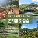 신기수목장 | 놓치지 말자! 화담숲 단풍 인생샷 명소, 가족들과 다녀온 가을 화담숲 방문 꿀팁과 후기