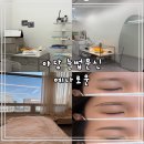 2954 | 야당 눈썹문신 ｜자연스러운 결과 대만족 예나로운 리터치 후기 ❤️