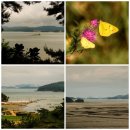 도성1리마을회관 이미지