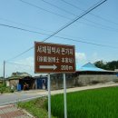 서재필박사 본가지 네이버블로그