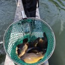 오동낚시터 이미지