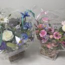 코지피다(COZYFIDA) 이미지