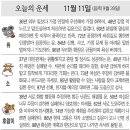 📛오늘의운세11월11일(토요일) 이미지