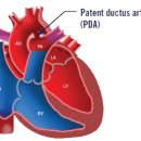 대구24시바른동물의료센터 이미지