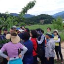 애플랜드 이미지