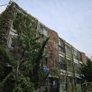 부흥로351번길 이미지