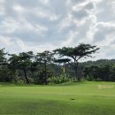 골프존카운티 감포 이미지