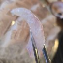 초장집 수원호매실점 수원맛집 회도매센터 내돈내산 방문후기