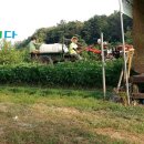 지현이네 이미지