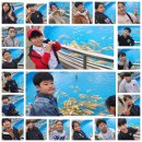 천인농장 이미지