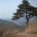 소여2리 이미지