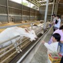 준우목장 이미지