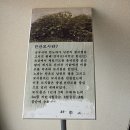 한산향교 이미지