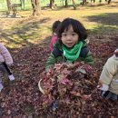 영등시민공원 축구장 이미지