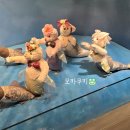한국스토리뮤지엄 | 군산 가볼만한곳 테디베어뮤지엄 군산 내돈내산 후기 +가격 주차