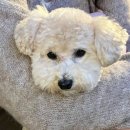 부산 영화촬영스튜디오 | 부산 해운대 루엘스튜디오 웨딩 촬영 동행 후기 (촬영사진, 오후촬영)