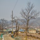 소여1리 이미지
