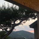 남양주 북스테이 추천｜착한책방스테이 1박 2일 솔직후기 (에어비앤비 숙소 추천)
