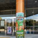 달성문화원 | 달성문화원-아기돼지 삼형제 공연 후기 (비추천)