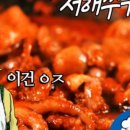 서해쭈꾸미 이미지