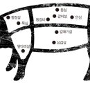 다양하게 맛보는 돼지부위 12가지 이미지