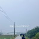 화성 47코스(경기둘레길) | 경기둘레길 47코스 (화성) 약19km