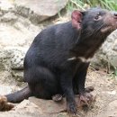 둥지광택 이미지