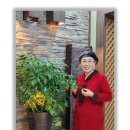 거북이집 이미지