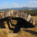 박화식농장 이미지