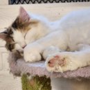 집사의하루 혜화점 이미지