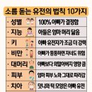 장수비결