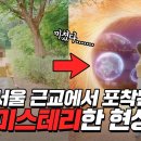 마블게임