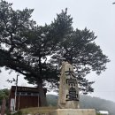 씨유태종대점
