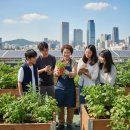 도시농업전문가 과정(80시간) | 도시농업관리사 자격증 취득방법.. 80시간 교육 및 실습 요건