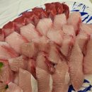 광어의전설 이미지