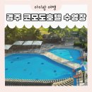 코모도 실내수영장 이미지