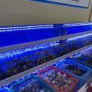 평택조개구이무한리필 이미지