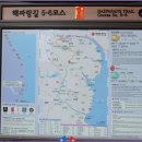 [3월 13일(화요일)]동해안 해파랑길 6코스(덕하역-태화강전망대) 트래킹 이미지